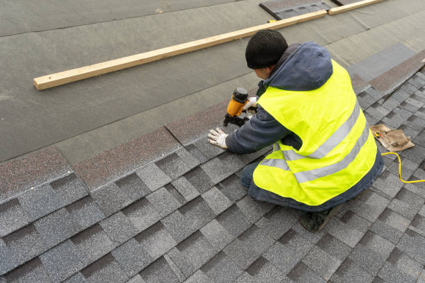 Best Flat Roof Repair Services  in Capron, IL
