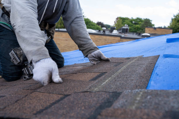 Best Roof Gutter Cleaning  in Capron, IL