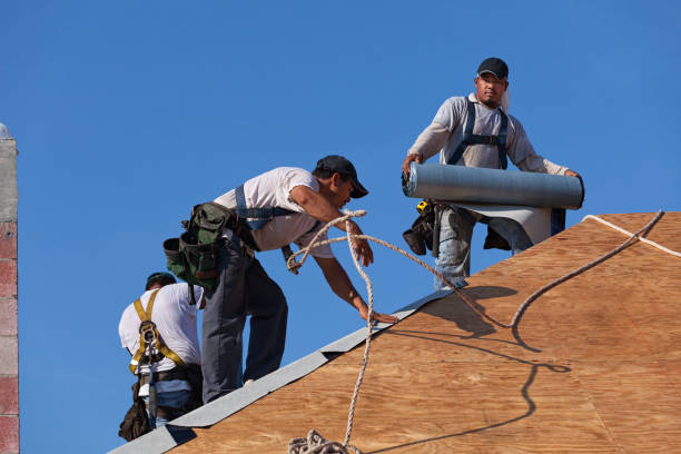 Best Local Roofing Companies  in Capron, IL