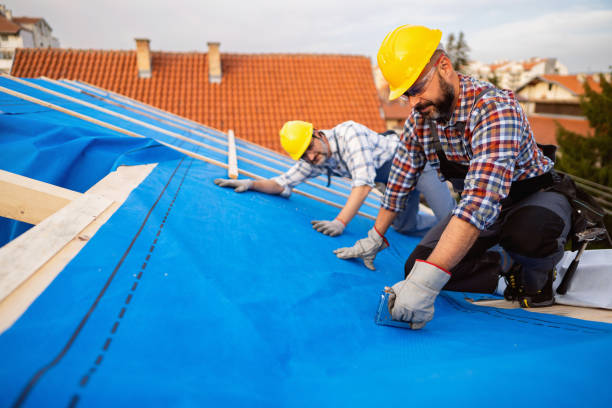 Best Residential Roofing Contractor  in Capron, IL