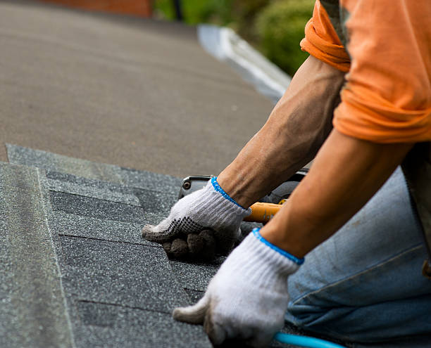 Best Metal Roofing Contractor  in Capron, IL